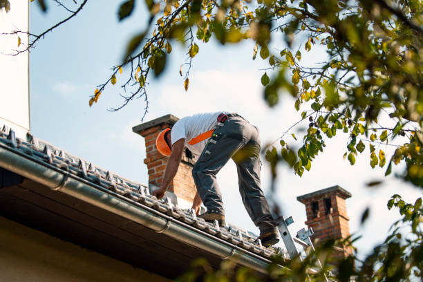 Best Chimney Flashing Repair  in Granvle, IL