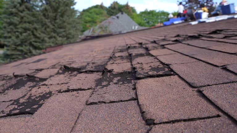 Waterproofing in Granville, IL