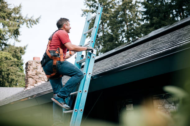 Best Asphalt Shingles Roofing  in Granvle, IL