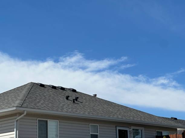 Best Roof Maintenance and Cleaning  in Granvle, IL